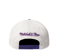 Mitchell & Ness Flex 110 Adjustable "Team Arch"