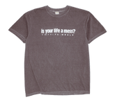 Fucking Awesome "Is Your Life A Mess?" T-Shirt