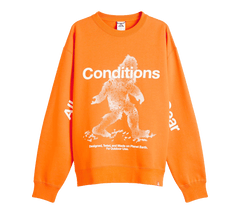 Nike ACG Therma-FIT Pullover Crewneck "Sasquatch"